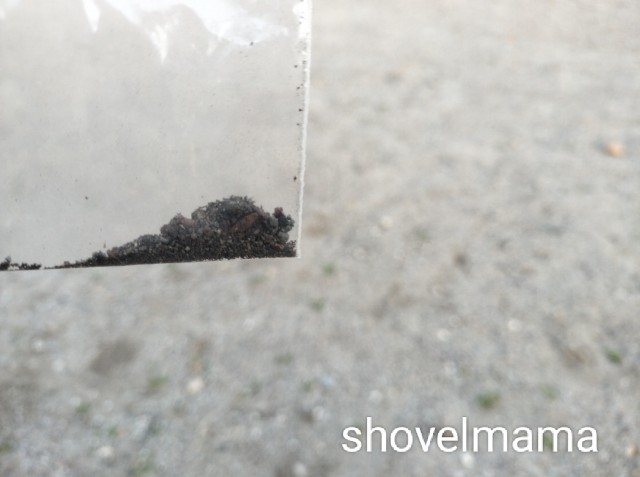 f:id:shovelmama:20250311205908j:image