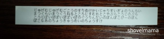 f:id:shovelmama:20250329111431j:image