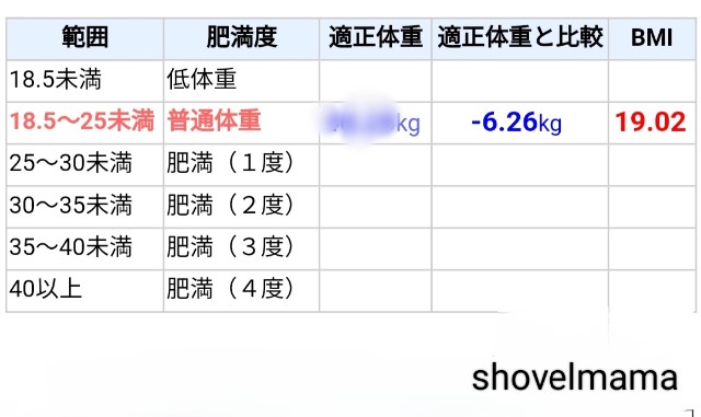 f:id:shovelmama:20250416145158j:image