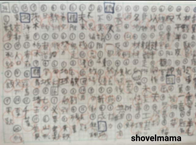 f:id:shovelmama:20250614083851j:image