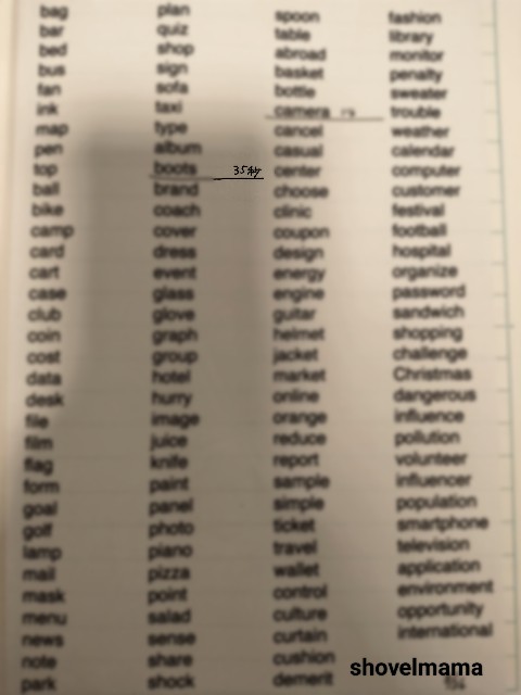 f:id:shovelmama:20250906144755j:image