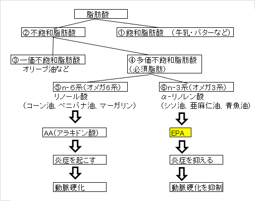 f:id:show-1kun:20190209091721p:plain