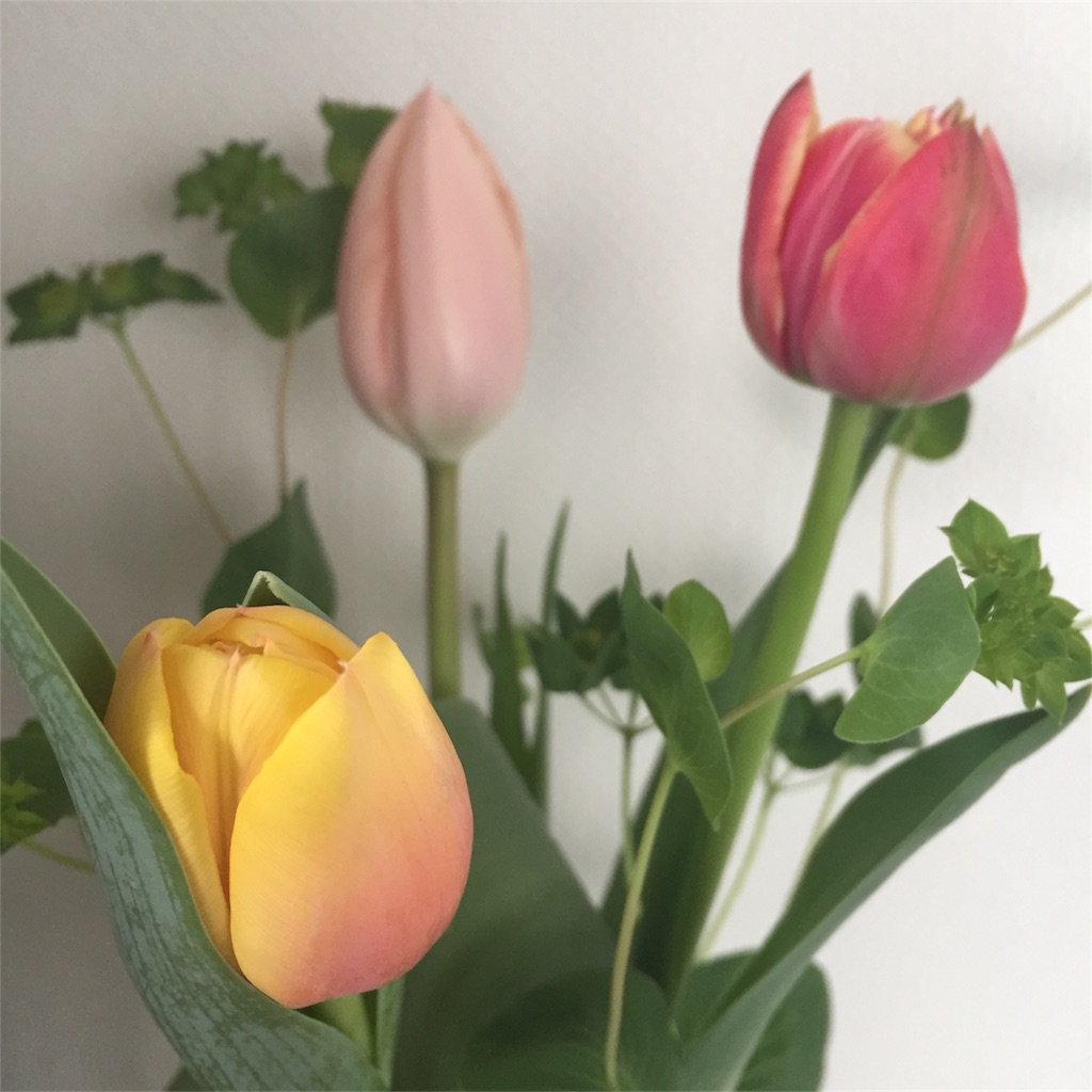 f:id:show1012:20170120103259j:image
