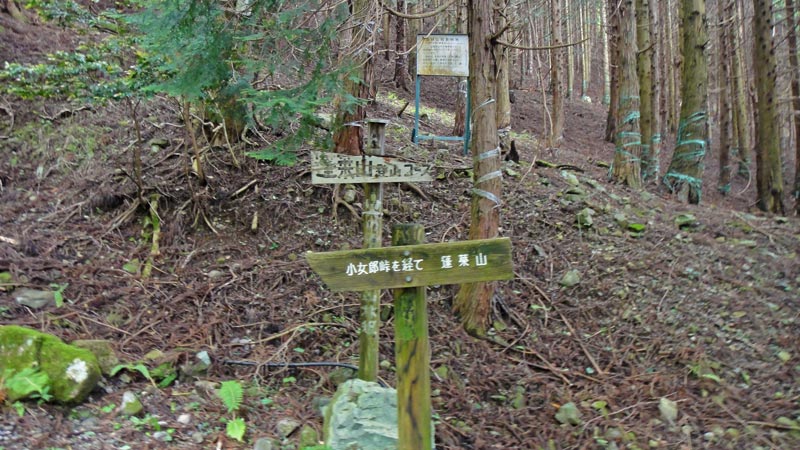 f:id:show_mountain:20220105103137j:plain