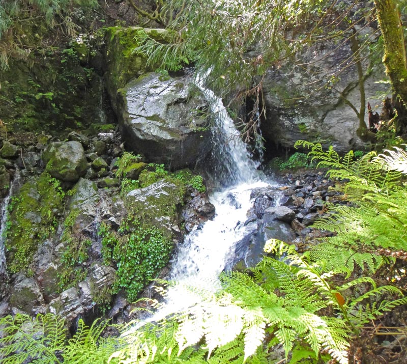 f:id:show_mountain:20220105103801j:plain