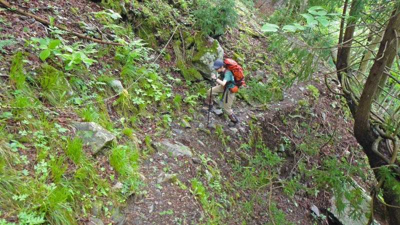 f:id:show_mountain:20220105111121j:plain