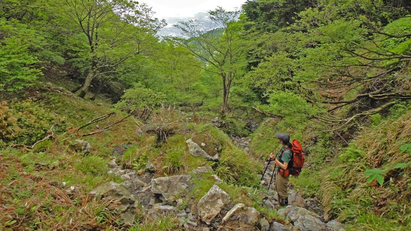f:id:show_mountain:20220105112220j:plain