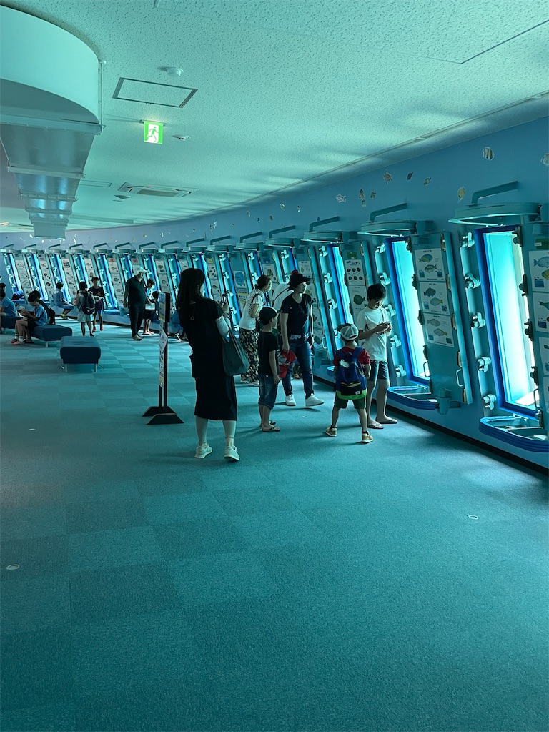 f:id:showa54:20240421063532j:image