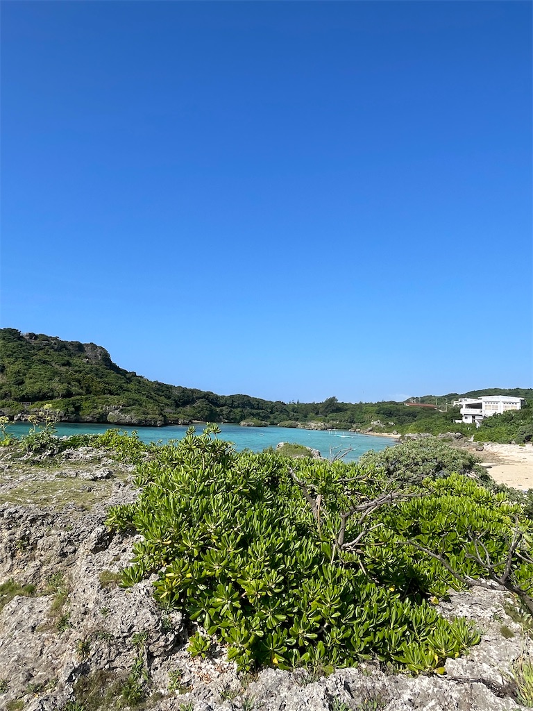 f:id:showa54:20240421063538j:image