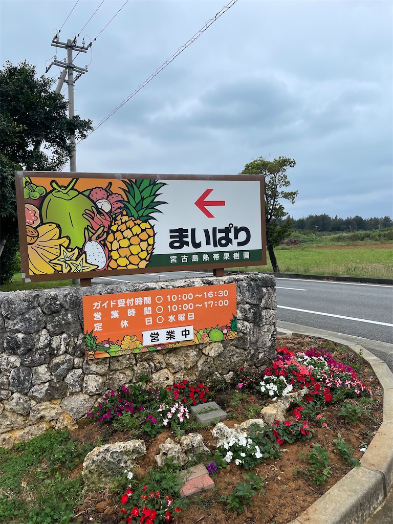 f:id:showa54:20240421093239j:image