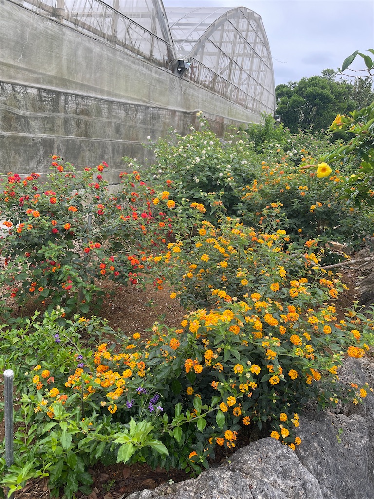 f:id:showa54:20240421094230j:image