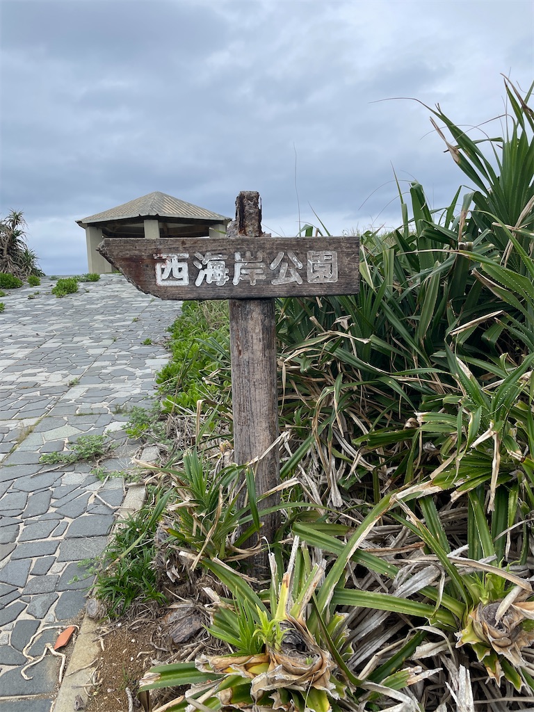 f:id:showa54:20240421094725j:image