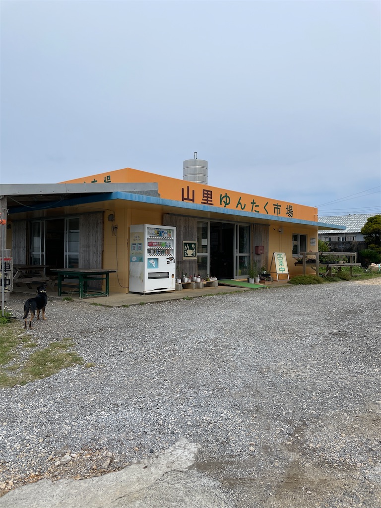 f:id:showa54:20240421101026j:image