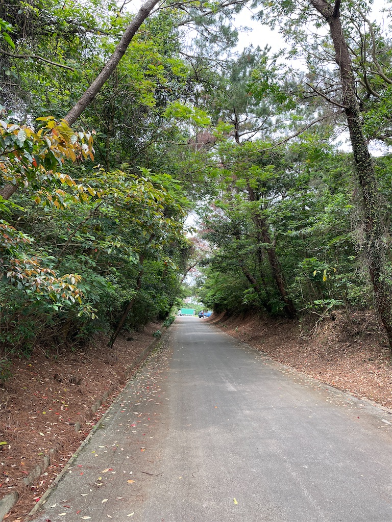 f:id:showa54:20240421101038j:image