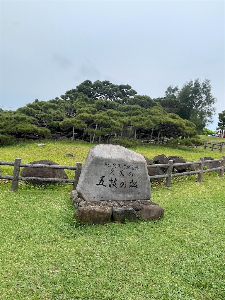 f:id:showa54:20240421101040j:image