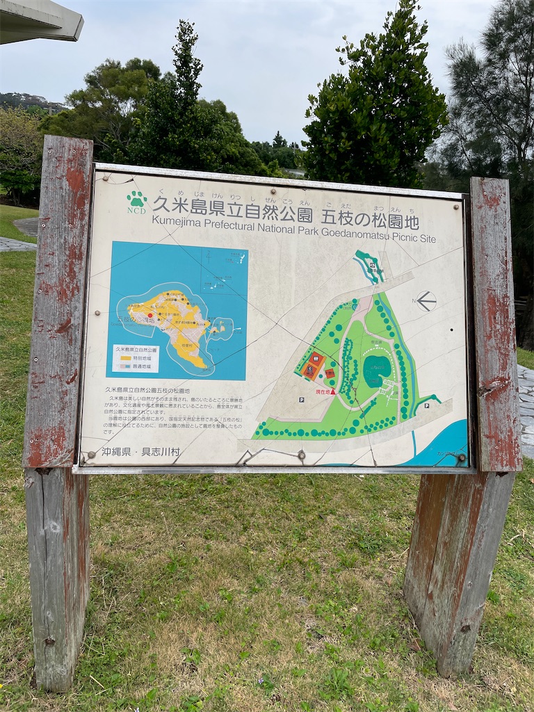 f:id:showa54:20240421101046j:image