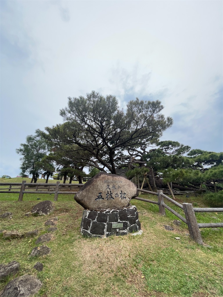 f:id:showa54:20240421101055j:image