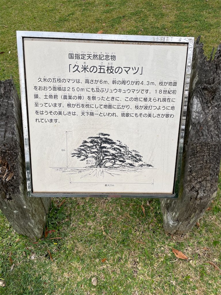 f:id:showa54:20240421102326j:image