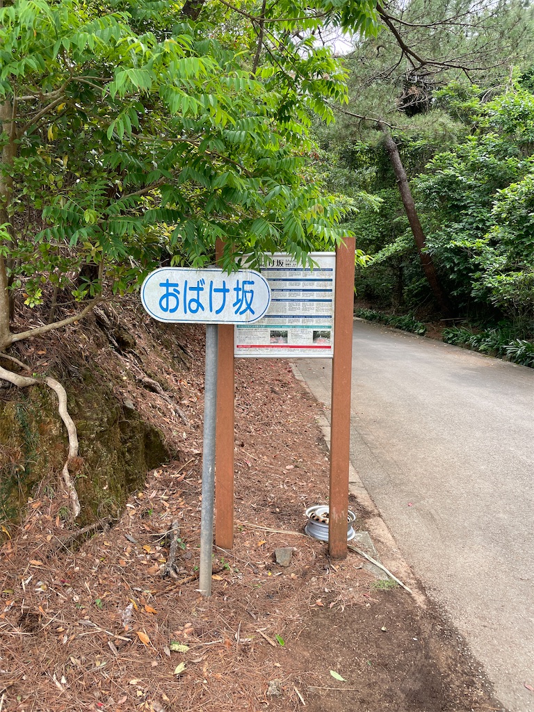 f:id:showa54:20240421102333j:image