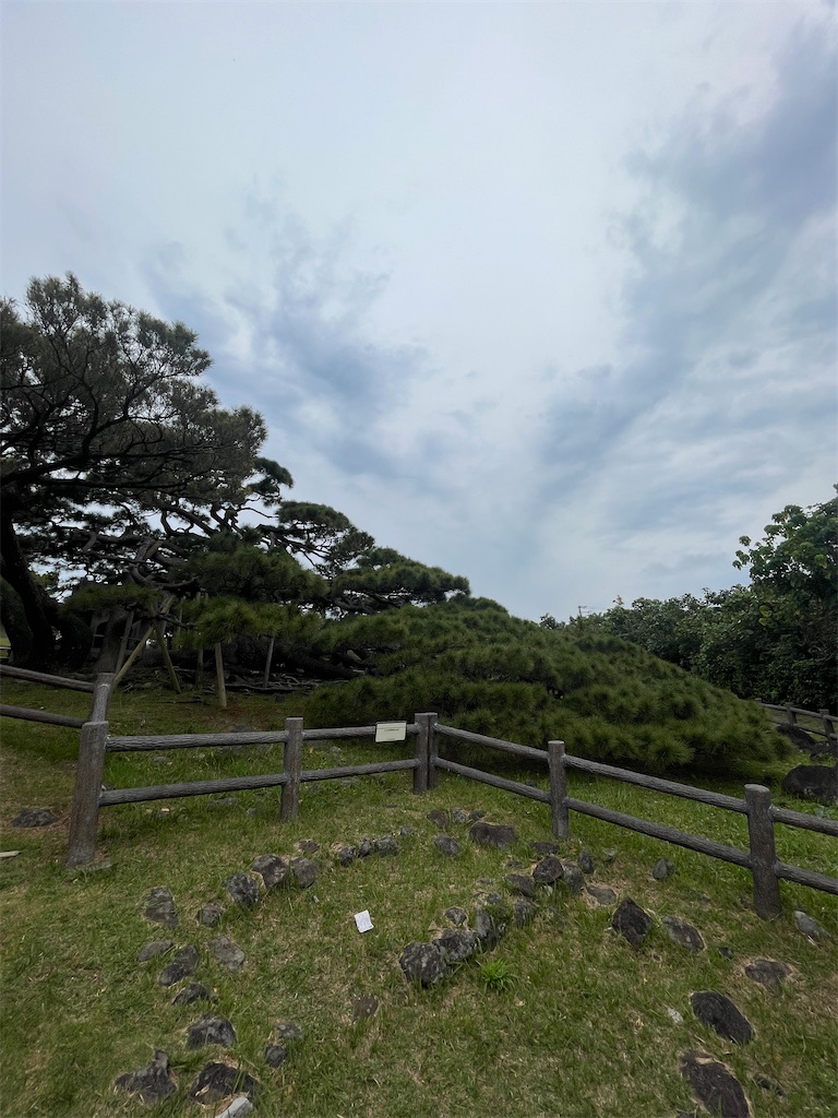 f:id:showa54:20240421102342j:image