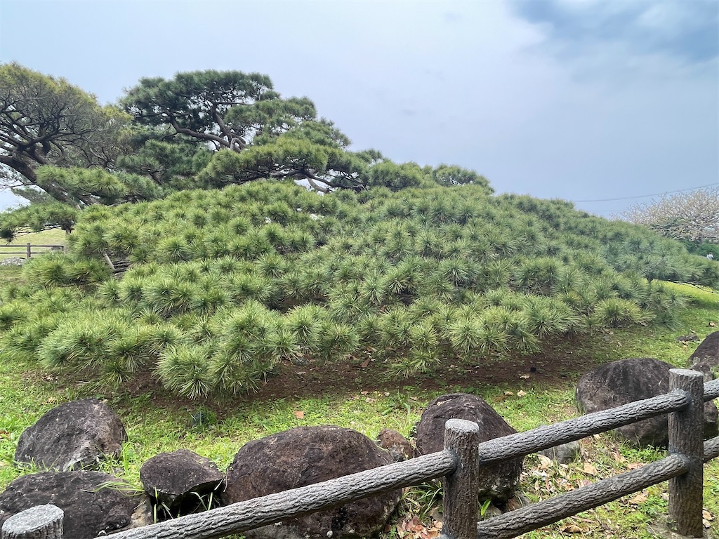 f:id:showa54:20240421102349j:image