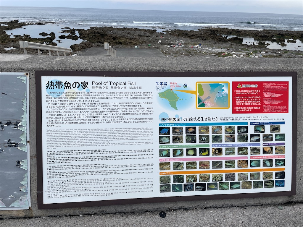f:id:showa54:20240421102834j:image