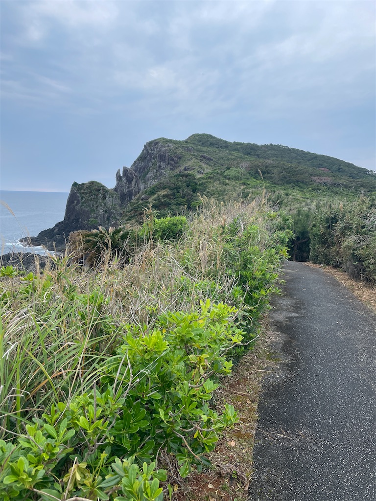 f:id:showa54:20240421103534j:image