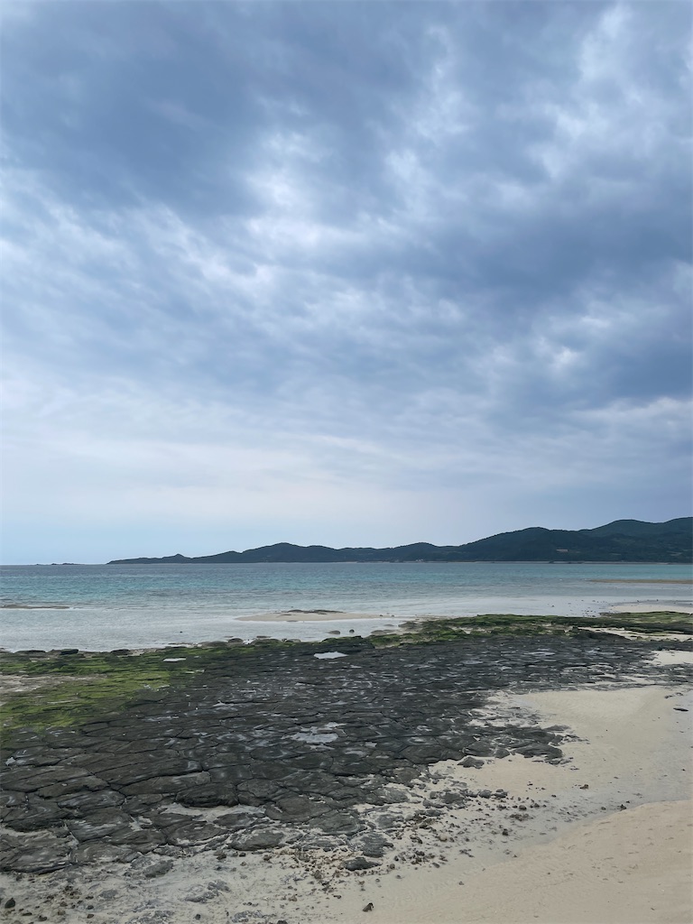 f:id:showa54:20240421103540j:image