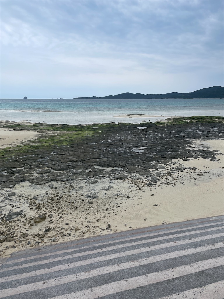 f:id:showa54:20240421103543j:image