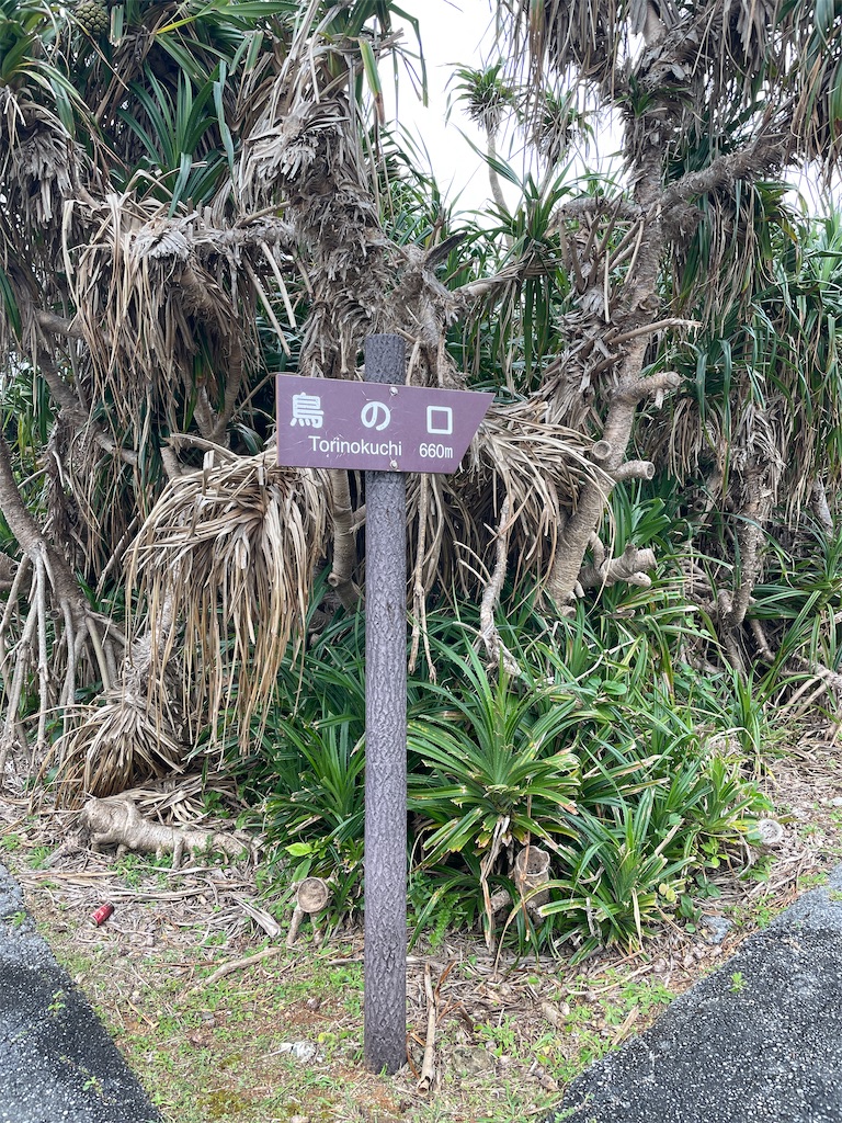 f:id:showa54:20240421103550j:image