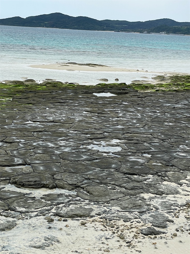 f:id:showa54:20240421103600j:image