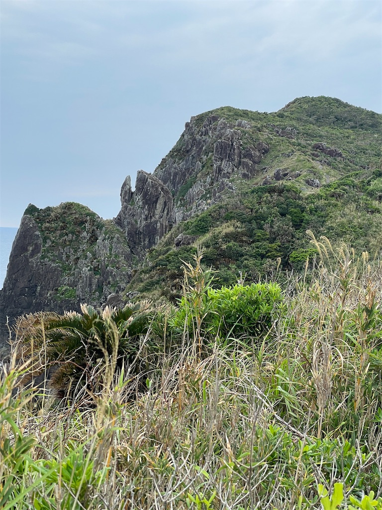 f:id:showa54:20240421103606j:image