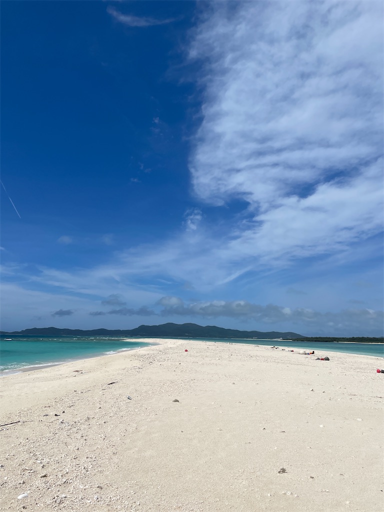 f:id:showa54:20240421104342j:image