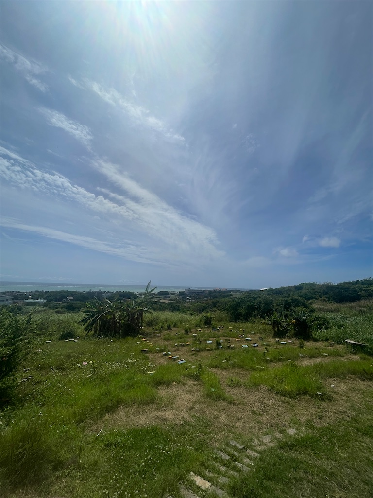 f:id:showa54:20240421104517j:image
