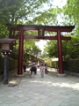 [寺社]根津神社