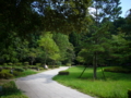 [寺社]鹿島神宮 御手洗池公園