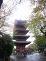 [寺社]池上本門寺