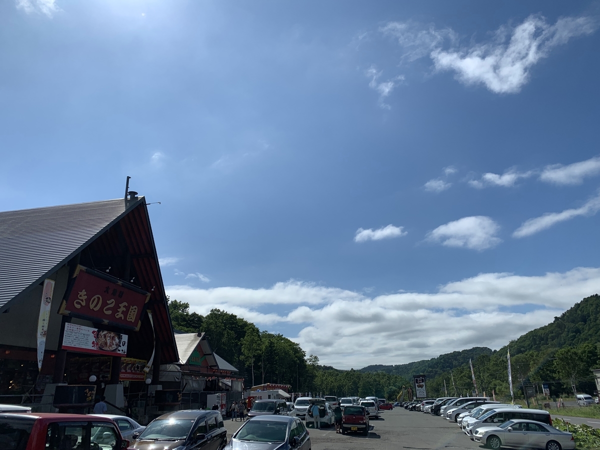 f:id:showchick:20190814140554j:plain