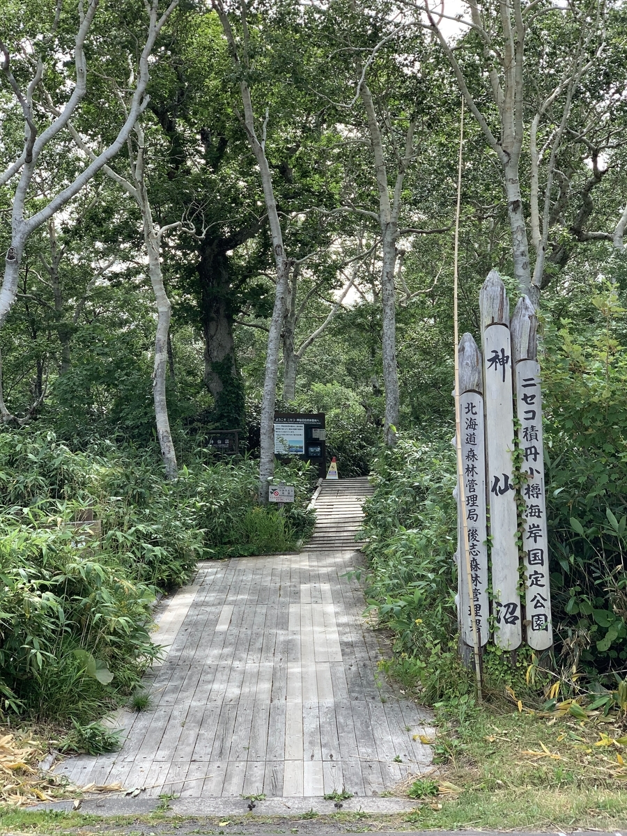 f:id:showchick:20190815101802j:plain