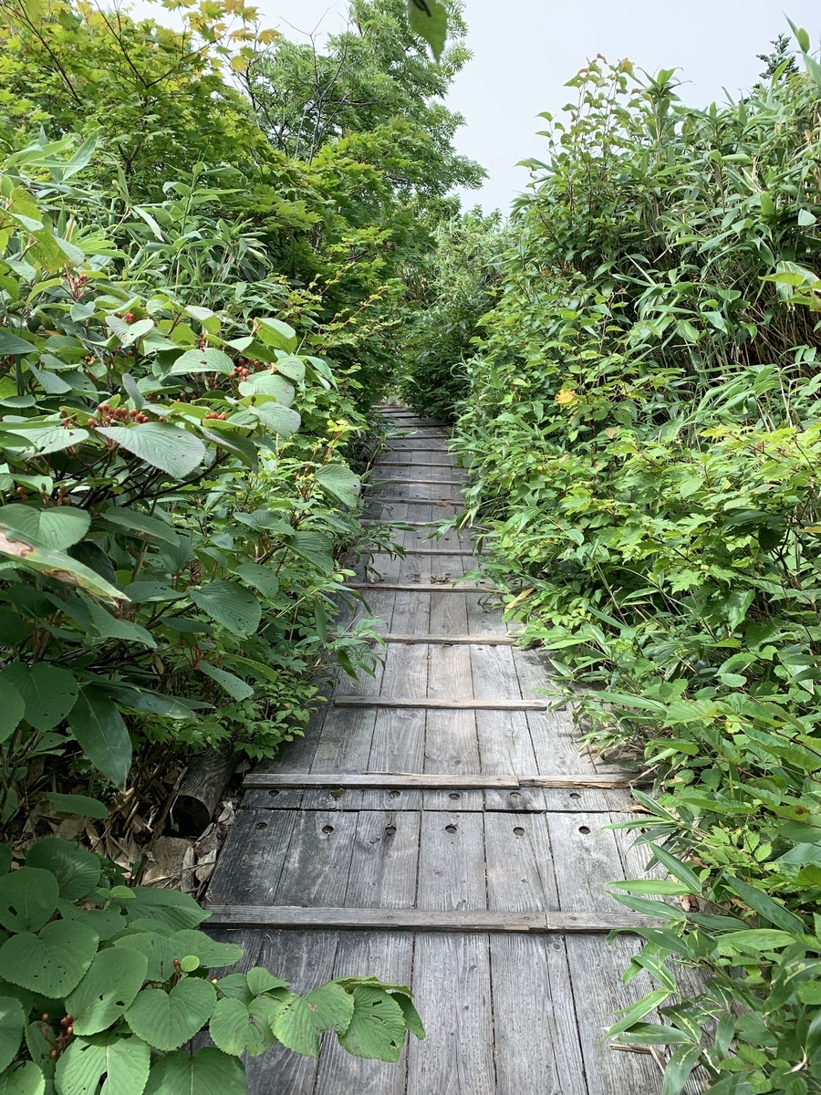f:id:showchick:20190815102416j:plain