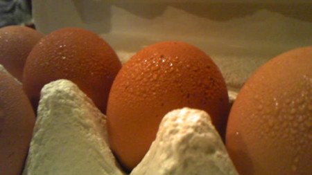 f:id:showgotch:20100615202501j:image