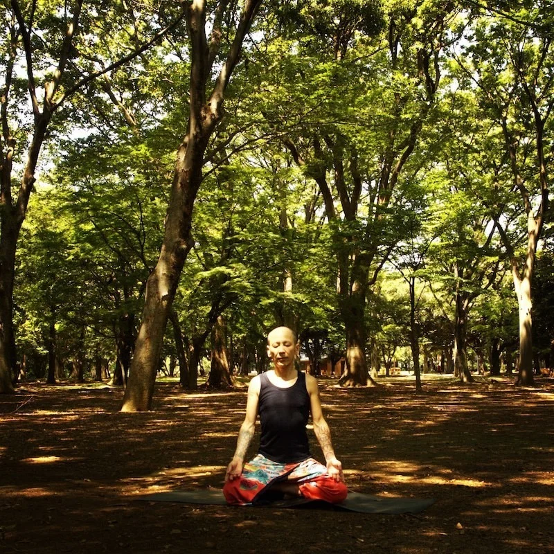 医療における瞑想の実践 iRest®ヨガ・ニドラ – 出版社KuLaScip（クラシップ）
