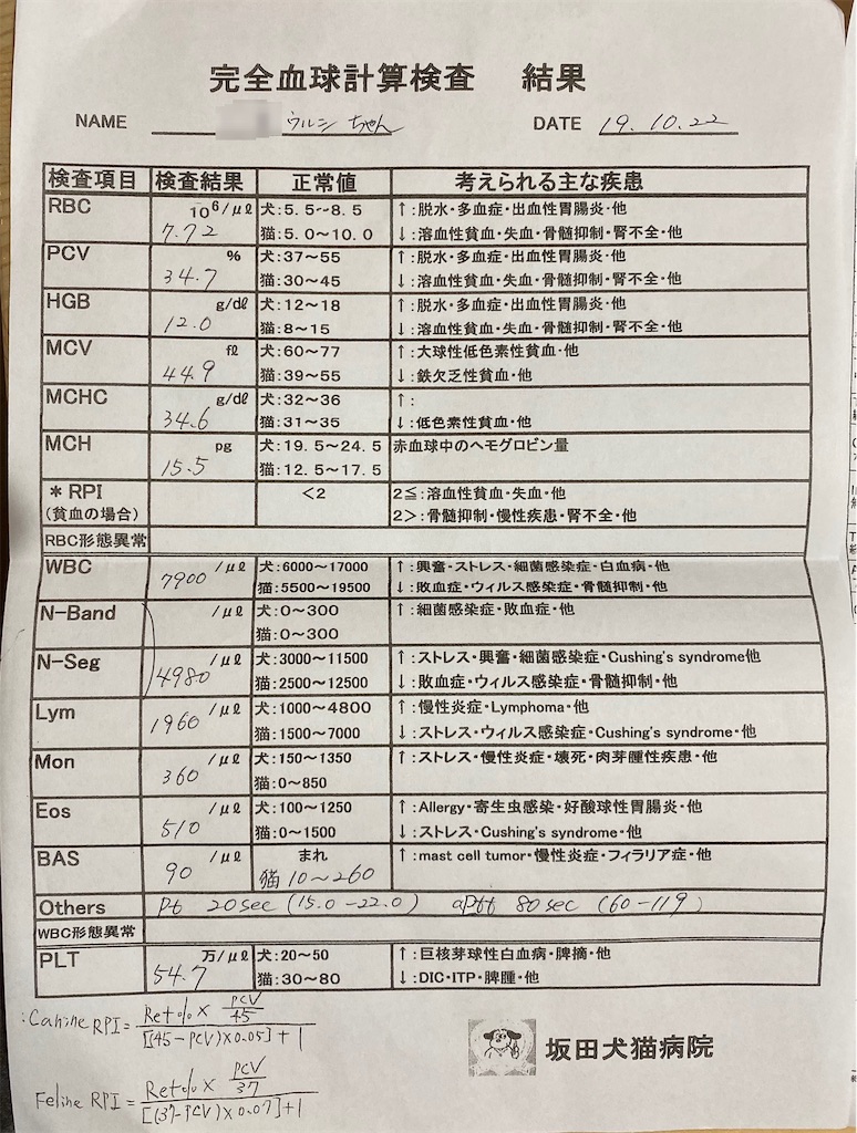 f:id:showjyoneco:20191026030914j:image f:id:showjyoneco:20191026030914j:image