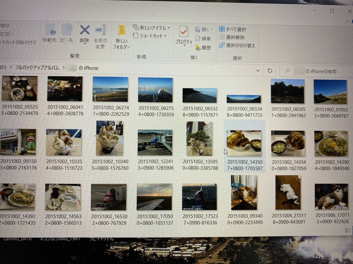 f:id:showjyoneco:20201205155334j:plain