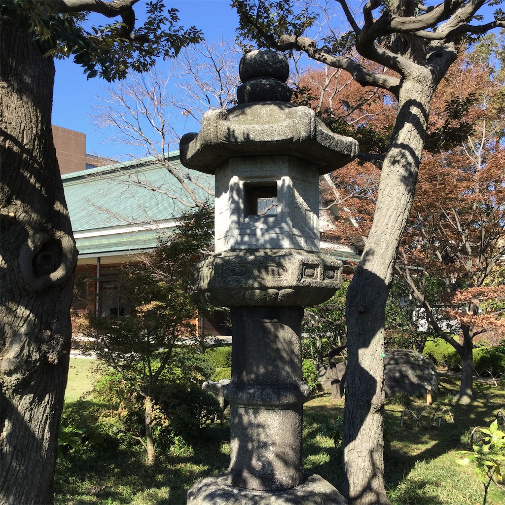 f:id:showtaro-aoki:20181125190018j:plain f:id:showtaro-aoki:20181125190018j:plain