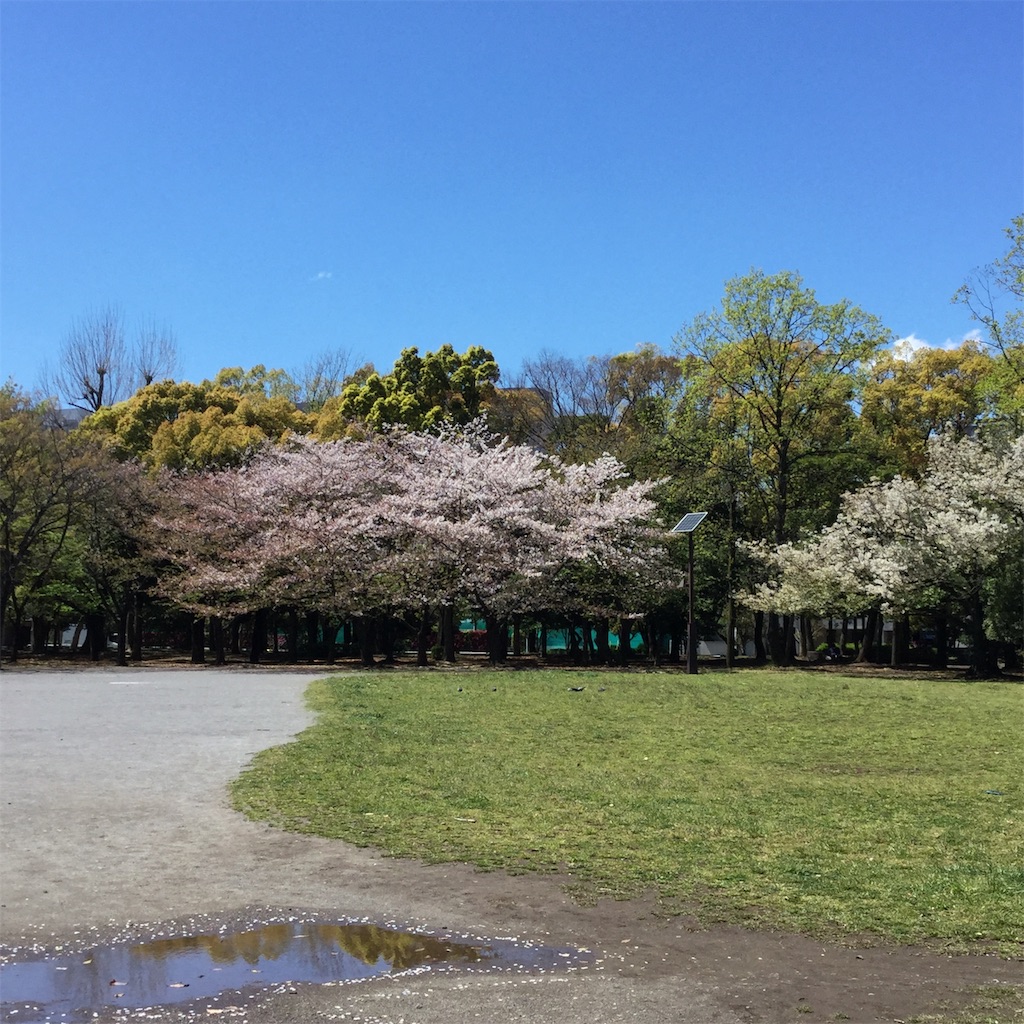f:id:showtaro-aoki:20190417163735j:plain f:id:showtaro-aoki:20190417163735j:plain