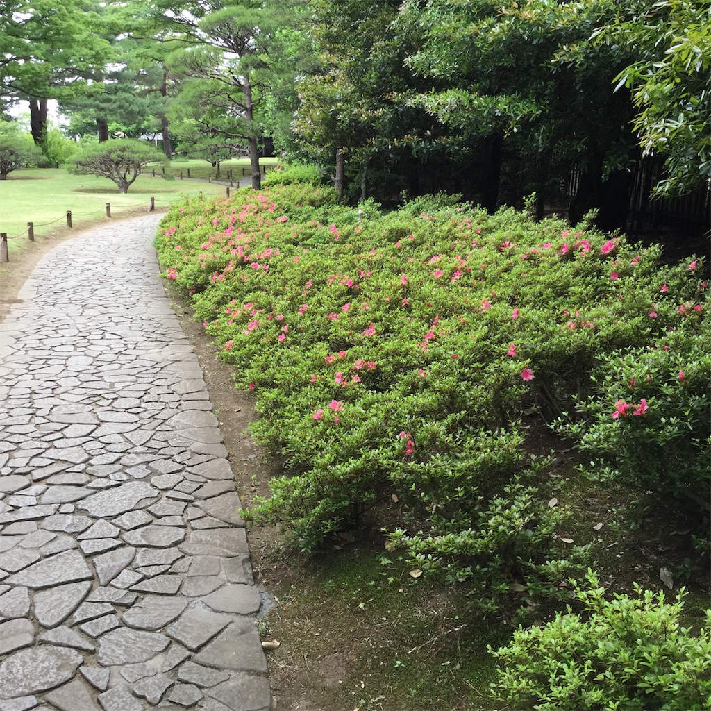 f:id:showtaro-aoki:20190621140616j:plain f:id:showtaro-aoki:20190621140616j:plain