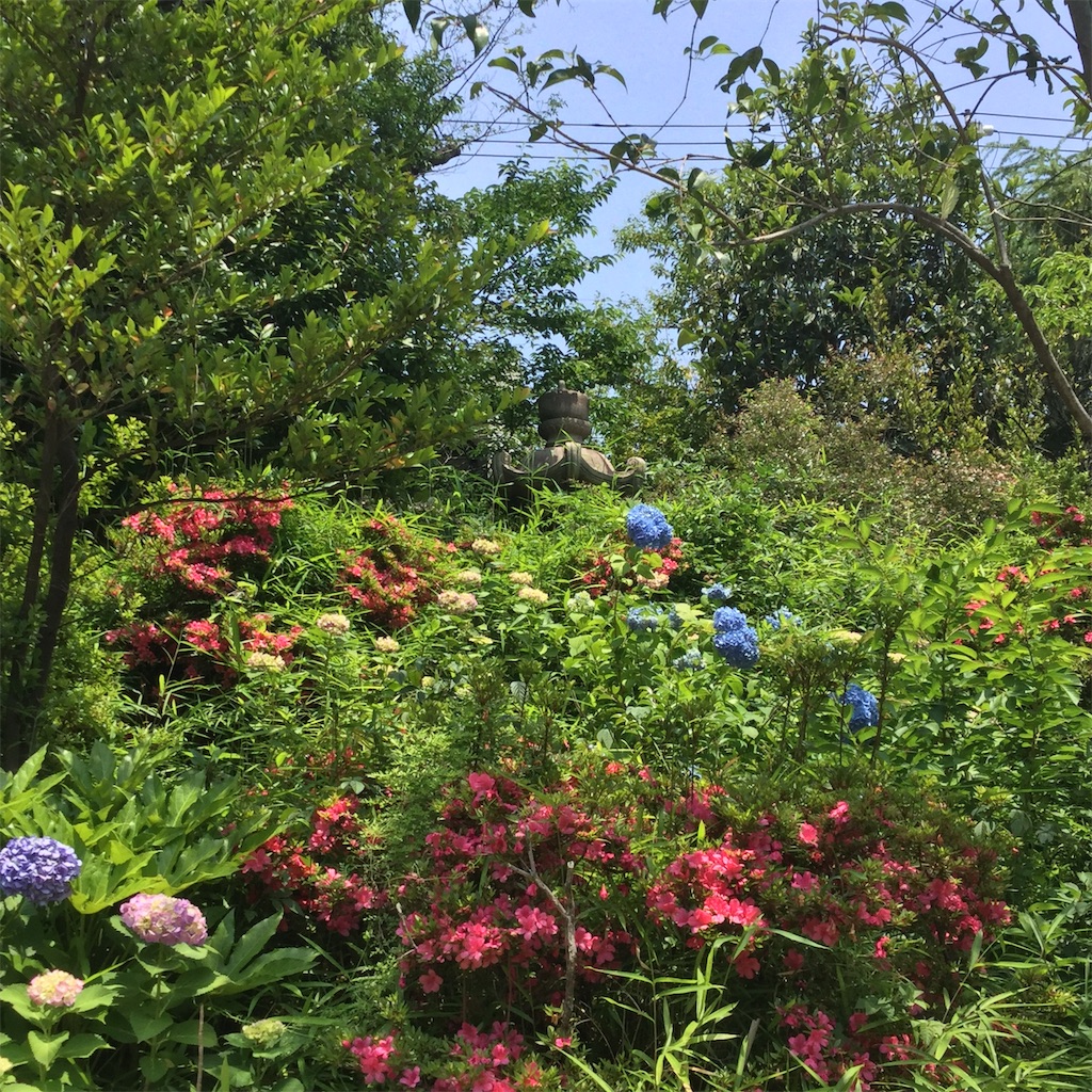f:id:showtaro-aoki:20190628115739j:plain f:id:showtaro-aoki:20190628115739j:plain