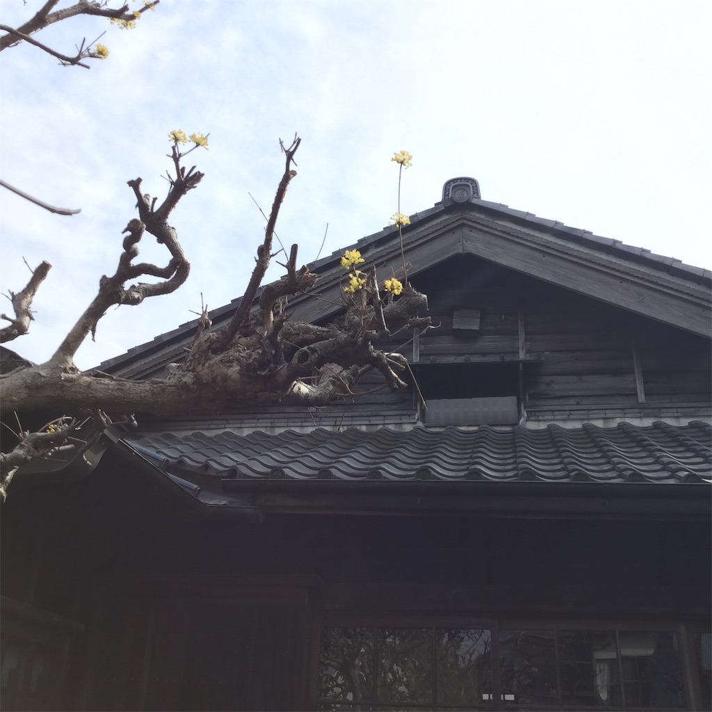f:id:showtaro-aoki:20200608155149j:plain f:id:showtaro-aoki:20200608155149j:plain