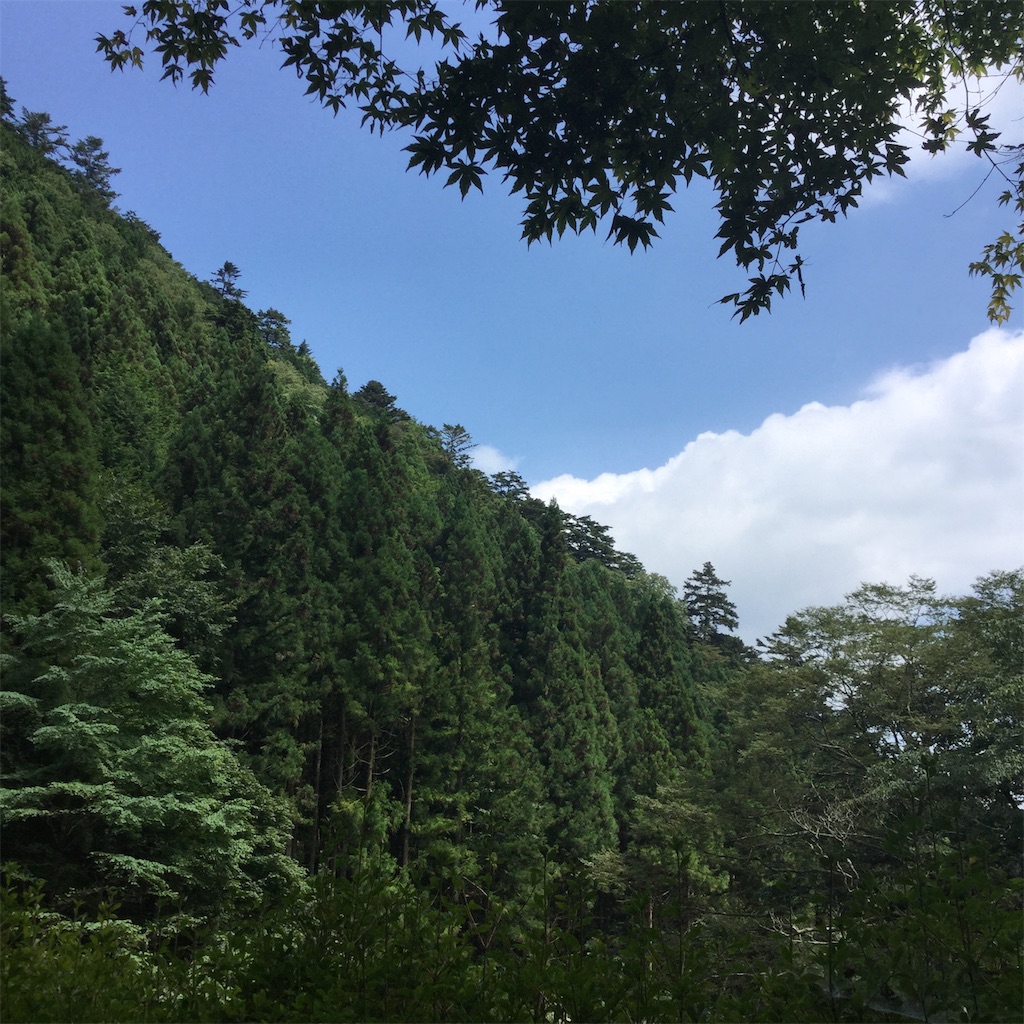 f:id:showtaro-aoki:20200901164517j:plain f:id:showtaro-aoki:20200901164517j:plain